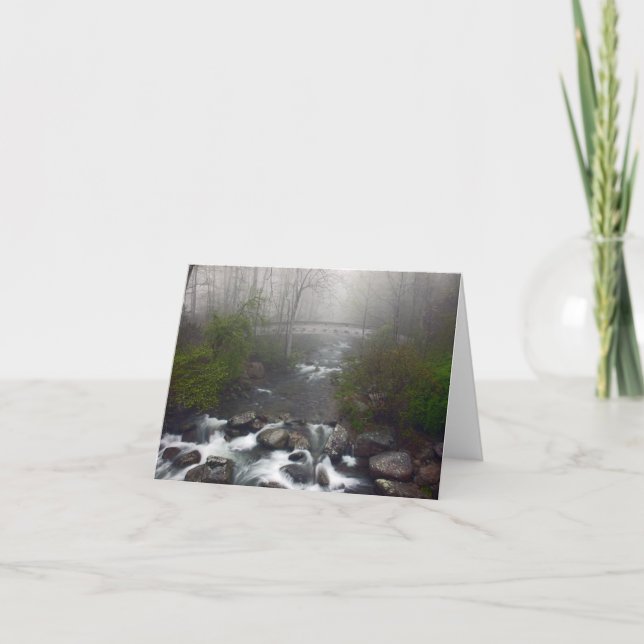 Cartão crabtreefalls bridge (Frente)