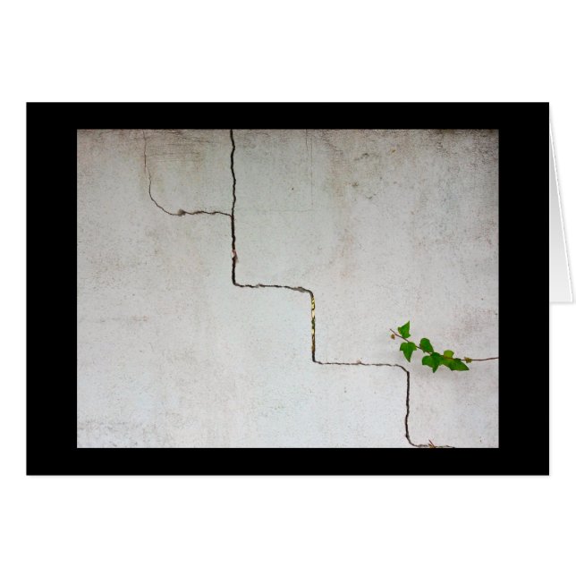 Cartão Crachado (Frente Horizontal)