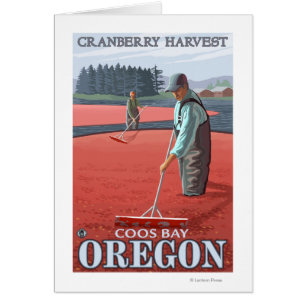 Cartão Cranberry Bogs Harvest - Baía de Coos, Oregon