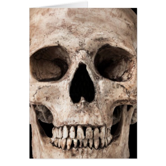 Cartão Crânio Velho e Meteorizado (Frente)