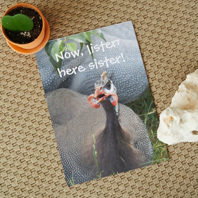 Cartão Cranky Guiné Fowl Foto Engraçada Aniversário (In Situ)