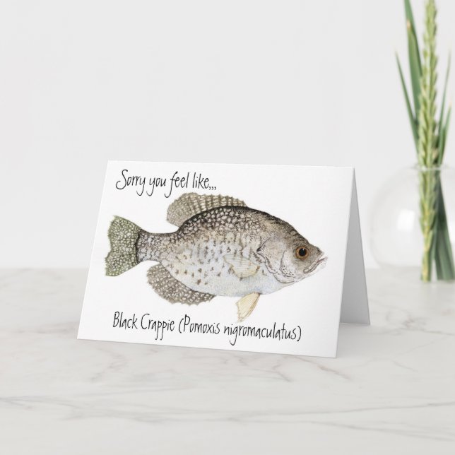 Cartão Crappie get well card (Frente)