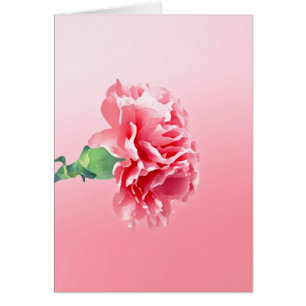 Cartão Cravo cor-de-rosa