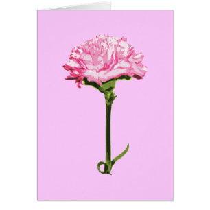 Cartão Cravo Rosa