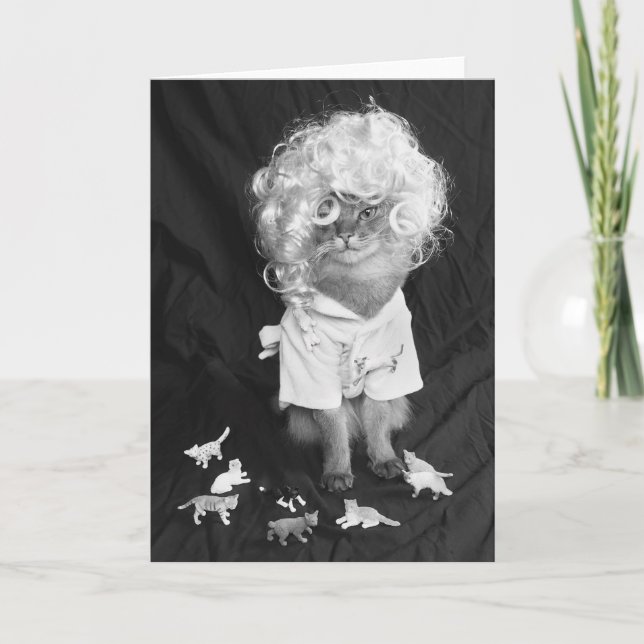 Cartão Crazy Cat Lady Somali Cat (Frente)