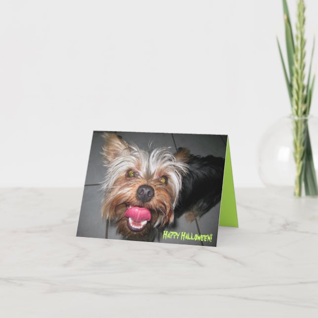 Cartão ~ Crazy Jasper (Frente)