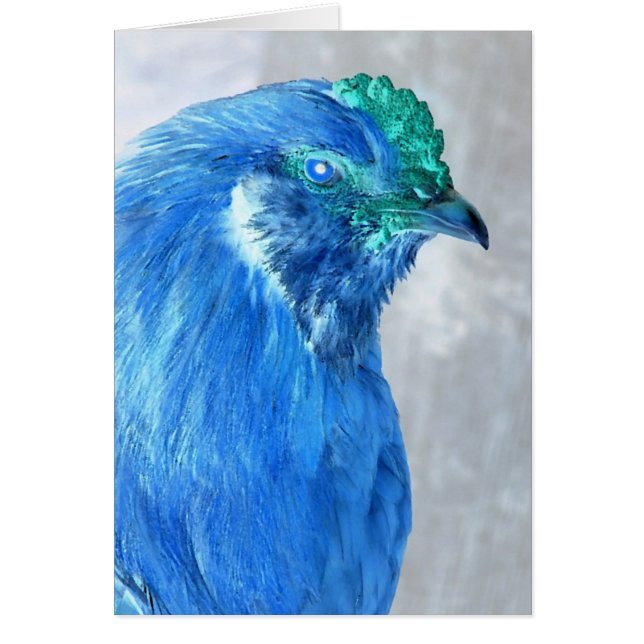 Cartão Crazy Roo (Frente)