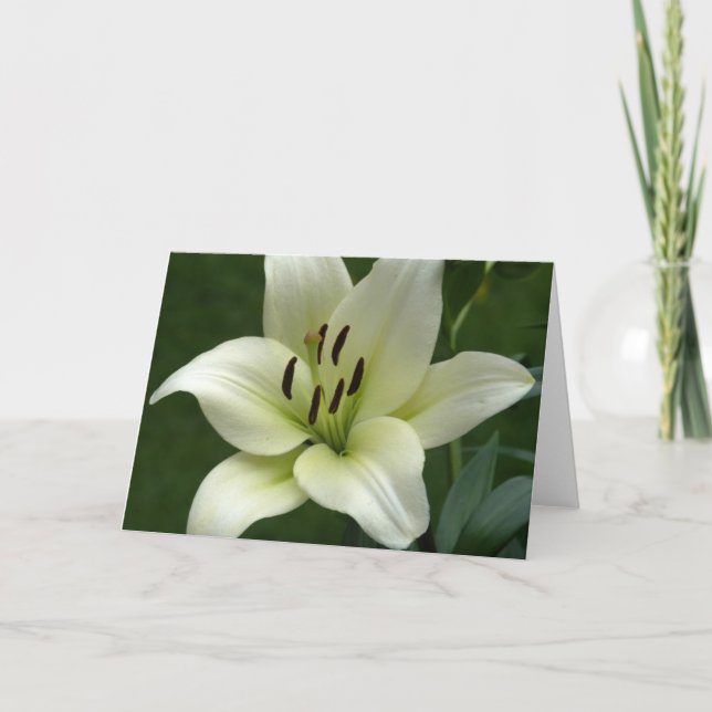 Cartão Creamy White Lily Card (Frente)