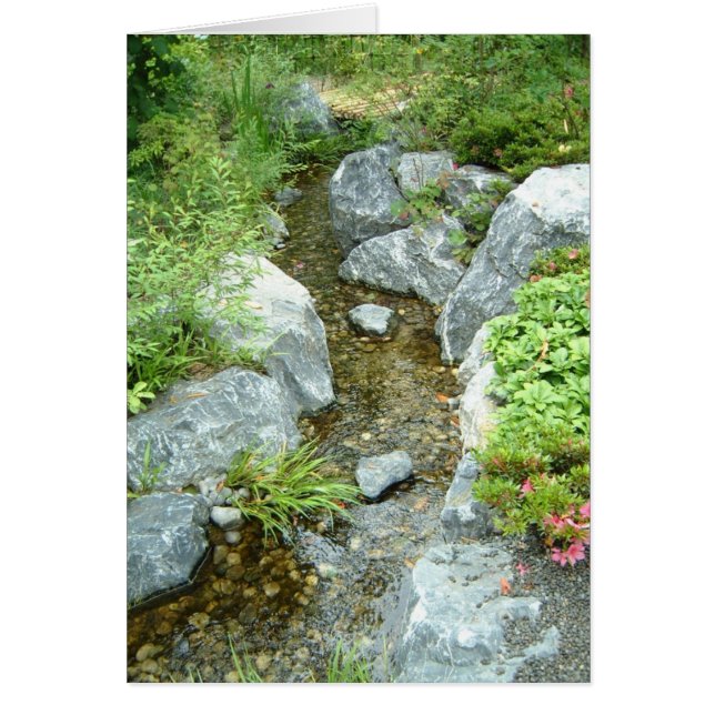 Cartão Creek (Frente)