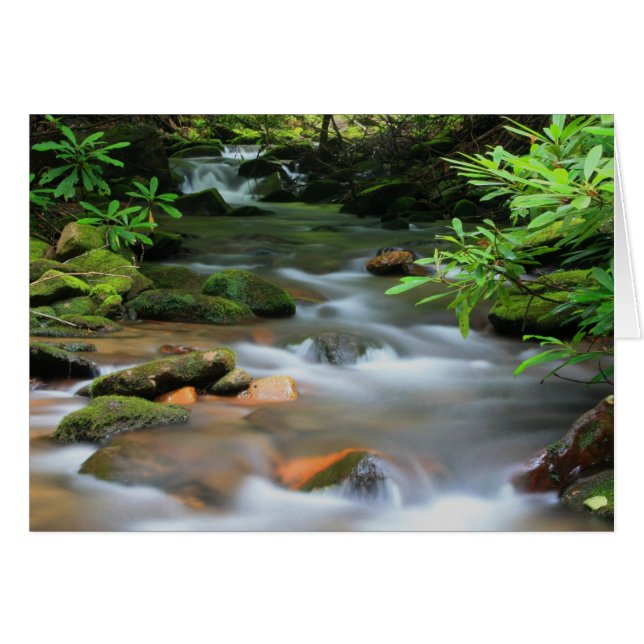 Cartão Creek Card (Frente Horizontal)