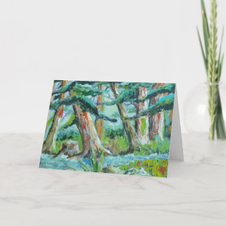 Cartão Creek in the woods