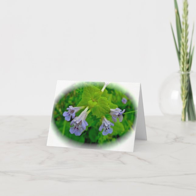 Cartão Creeping Charlie Ground Ivy Note Card (Frente)