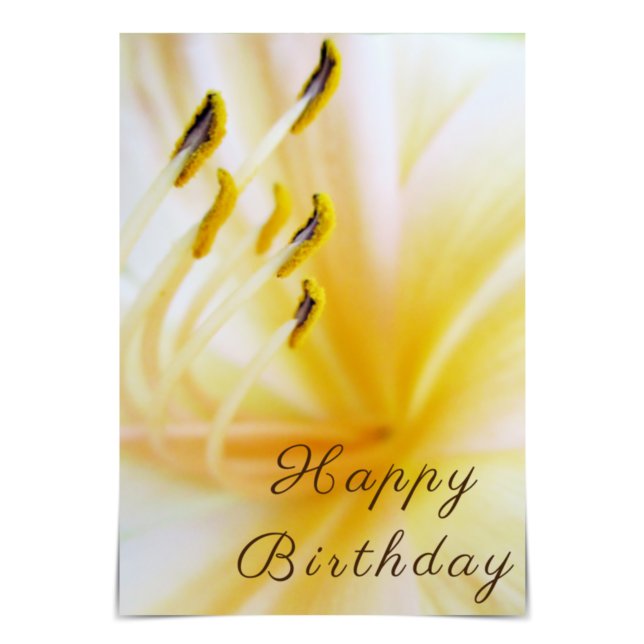 Cartão Creme Lily Card "Feliz Aniversário" (Criador carregado)