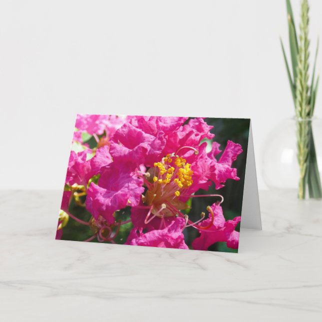 Cartão "Crepe Myrtle 1." Greeting Card (Frente)