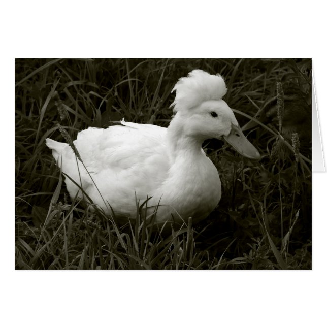 Cartão Crestie em preto e branco (Frente Horizontal)