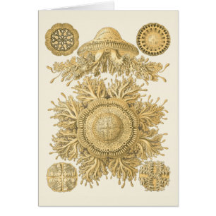 Cartão Criaturas do Mar do ouro