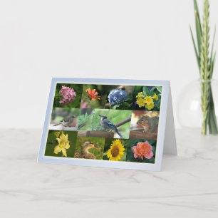 Cartão Criaturas e Colagem de Criação