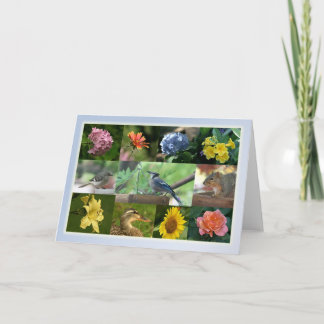 Cartão Criaturas e Colagem de Criação