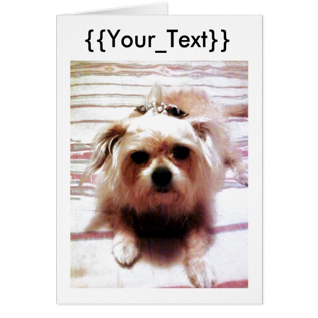 Cartão Crie seu (Frente)