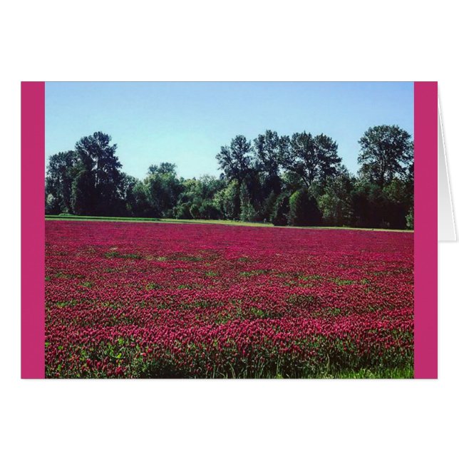 Cartão Crimson Clover Field (Frente Horizontal)