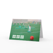 Críquete 100º aniversário