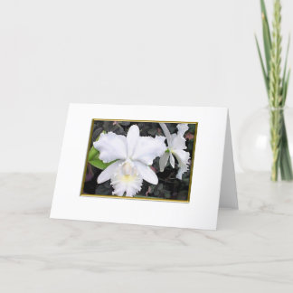 Cartão Crisp White Orchids in a Shady Garden Blank
