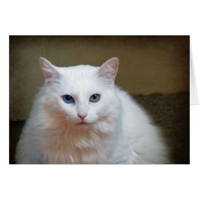 Cartão Cristal (Frente Horizontal)