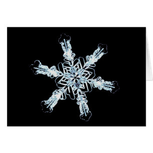 Cartão Cristal estelar da neve