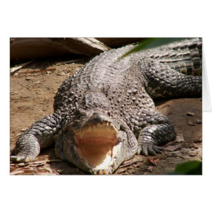 Cartão Croc Smile