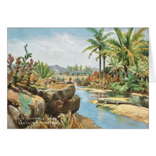 Cartão Crocodile River, África do Sul