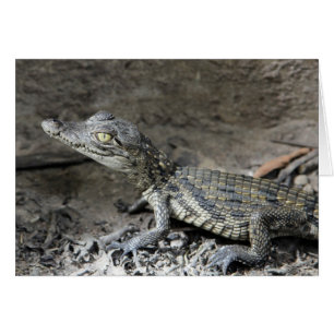 Cartão Crocodilo do anão do bebê