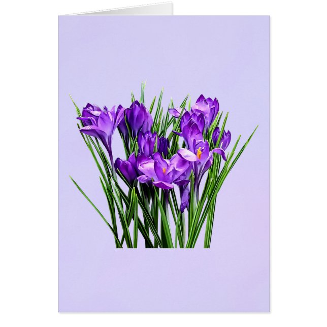 Cartão Crocos Roxos (Frente)