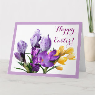 Cartão Crocus amarelo-púrpura bonito floral felz pascoa