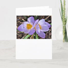 Cartão Crocus, carta