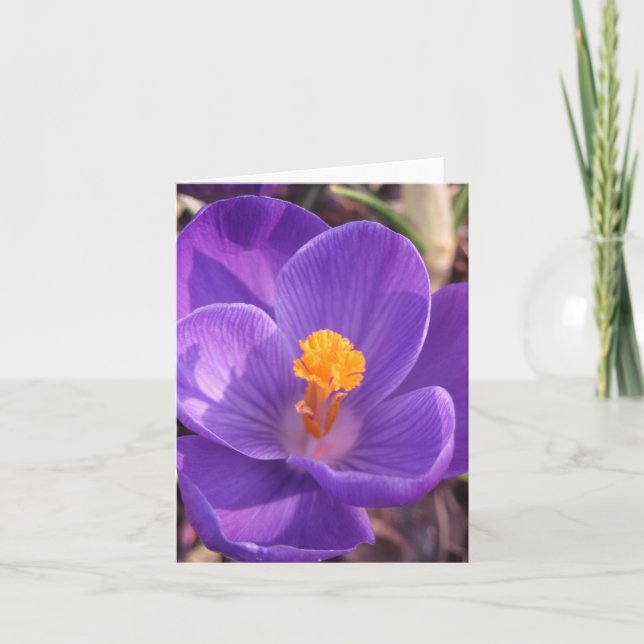 Cartão Crocus Note Card (Frente)