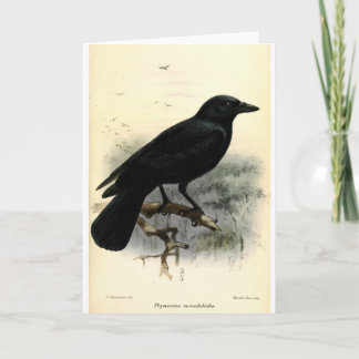 Cartão Crow