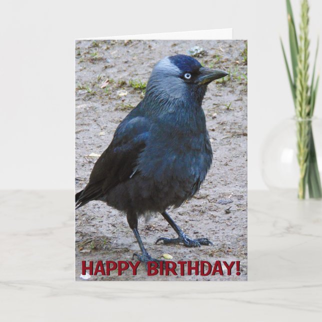 Cartão Crow customizable greetings card (Frente)
