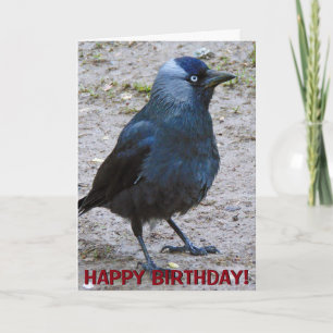 Cartão Crow customizable greetings card