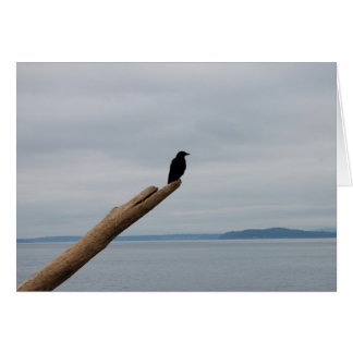 Cartão Crow Sentinel