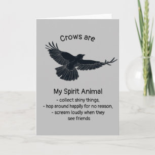 Cartão Crows Divertido Espírito de Pássaro Humor Animal