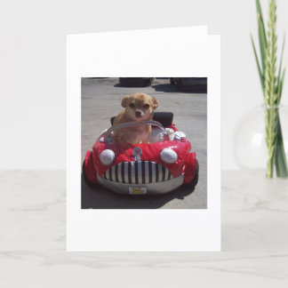 Cartão Cruising by cards