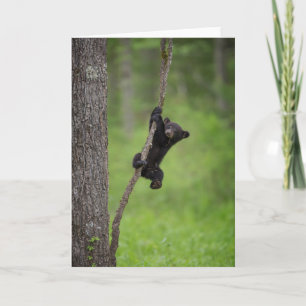 Cartão Cubo Urso Negro tocando no Limbo Árvore