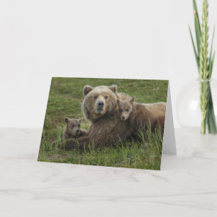 Cartão Cubos de Urso Castanho Cudddddddding com a mãe