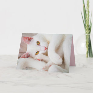 Cartão cuddle kitty greeting card