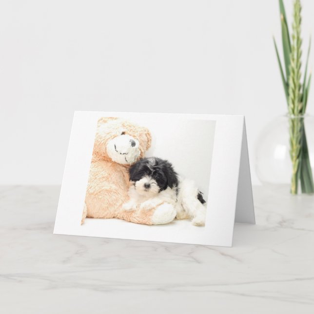 CARTÃO CUDDLE TIME-***NEW BABY*** CONGRATS (Frente)