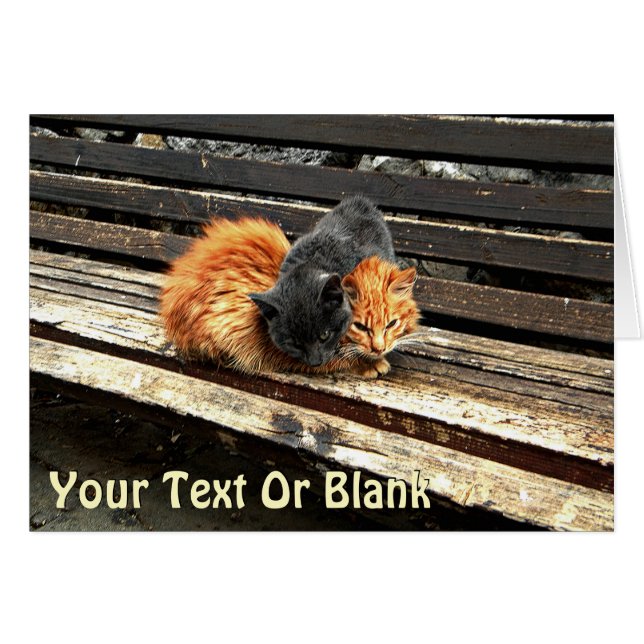 Cartão Cuecas Catnap (Frente Horizontal)