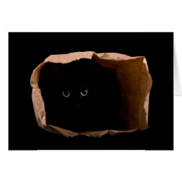 Cartão Cuidado com o Gato de Ataque!