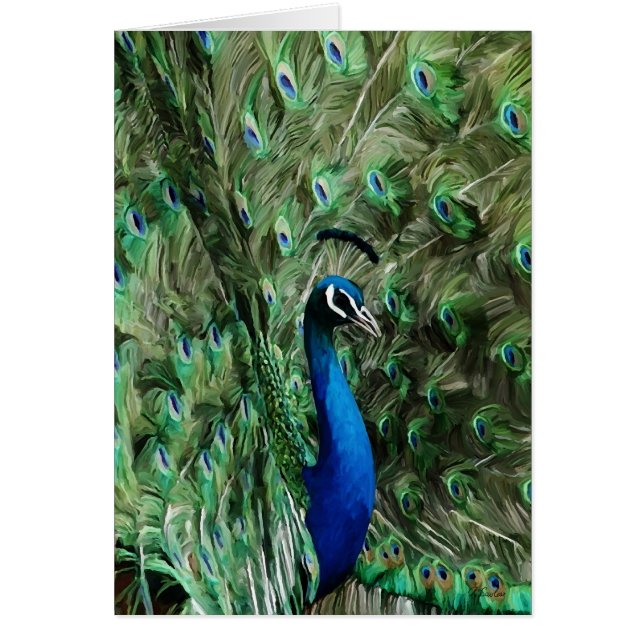 Cartão Cuidado da nota do pavão (Frente)