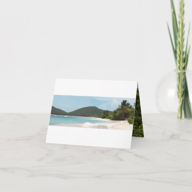 Cartão Culebra's Flamenco Beach Puerto Rico (Frente)