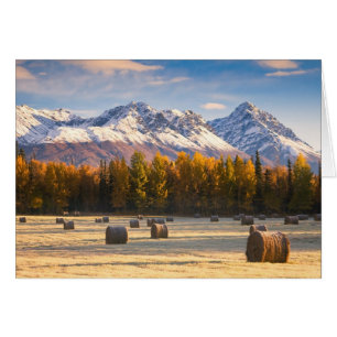 Cartão Cultivo de Alaska